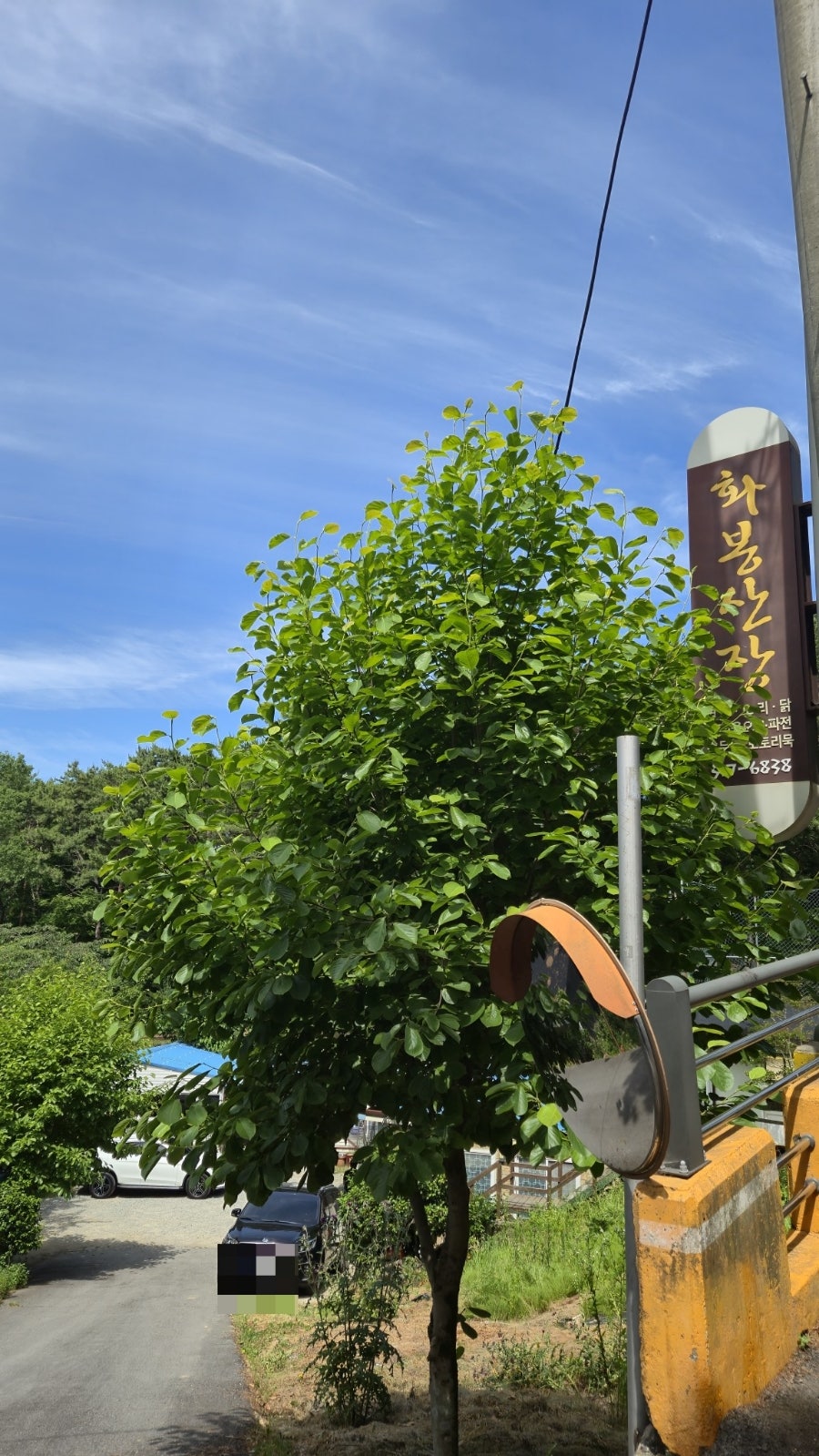 화봉산장 사진 1