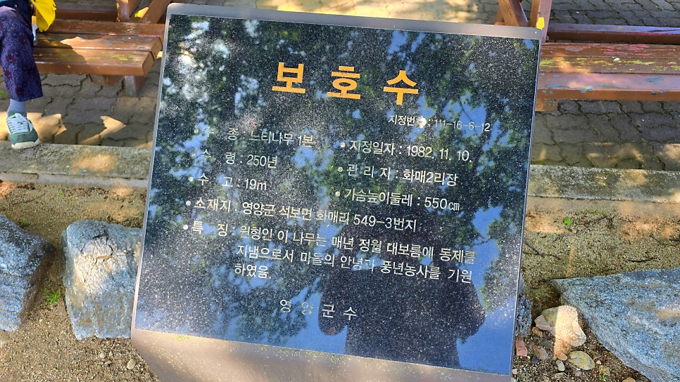 화매저수지 사진 5