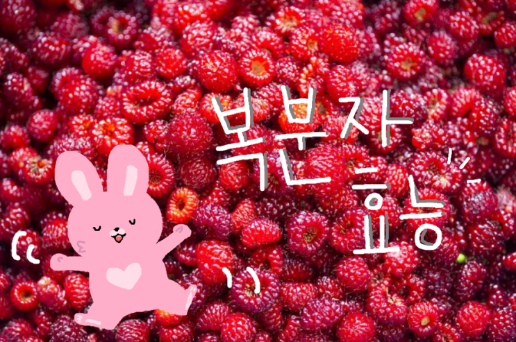 복분자효능 여자, 복분자청효능까지 정리!