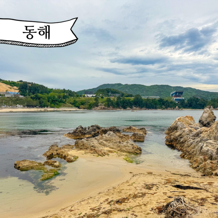  장호해수욕장 강원도 삼척 장호항 동해바다추천 샤워장 주차