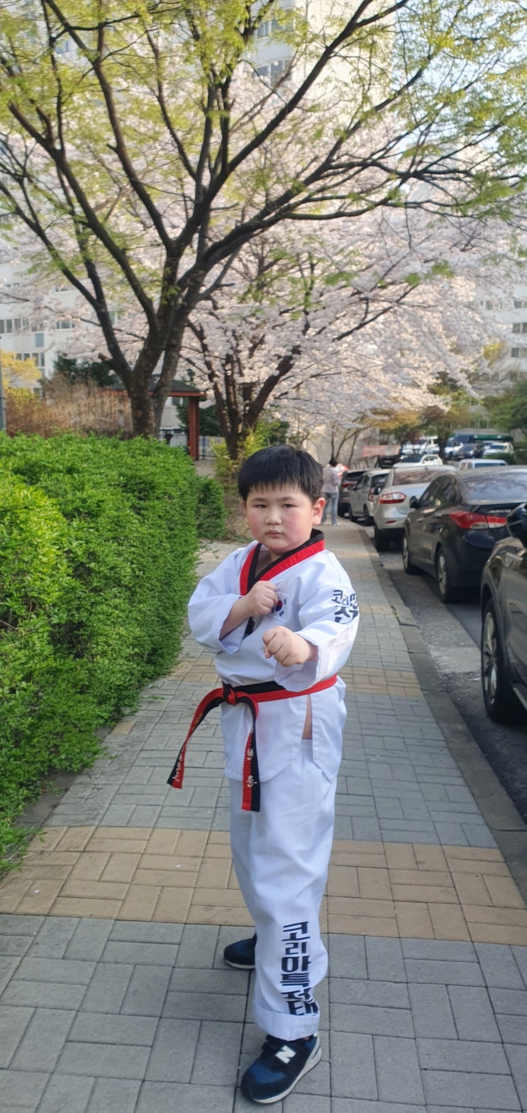  태권도 띠 순서! 한국체대 코리아특전태권도원에서 배우는 성품과 다양한 교육 알아보기
