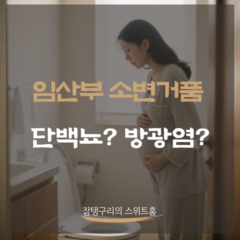 임산부 소변거품, 단백뇨일까 방광염일까?