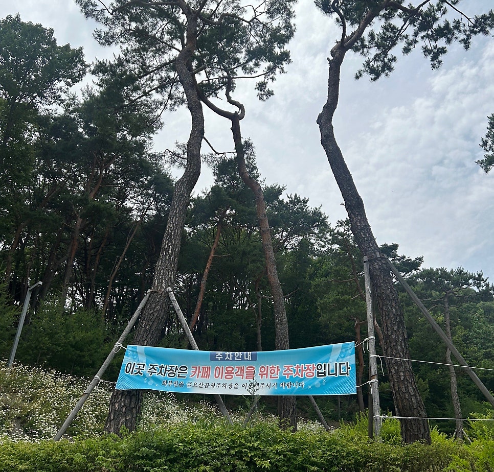 클라우든 에코랜드점 사진 2