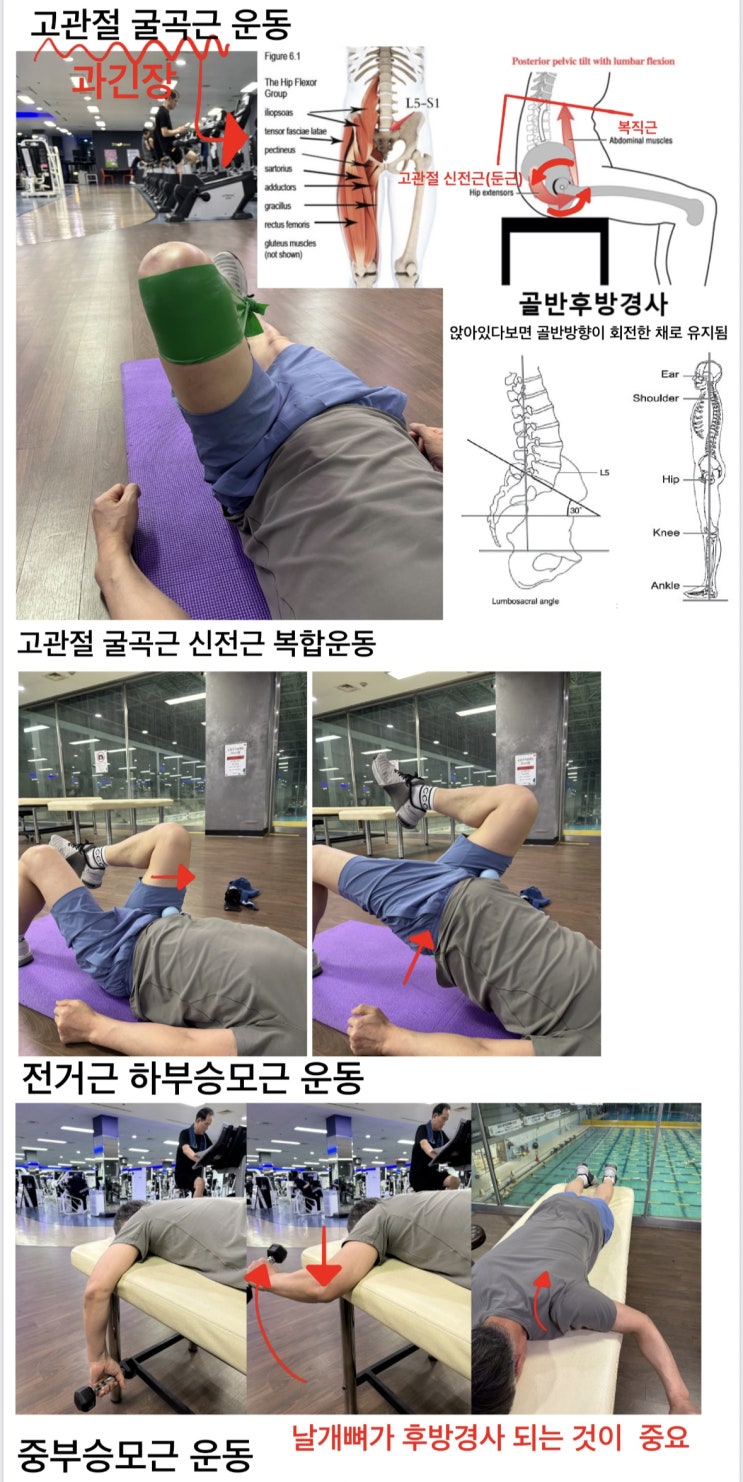  점점 굽어가는 어깨와 허리, 나이 탓이라며 포기하고 계신가요?