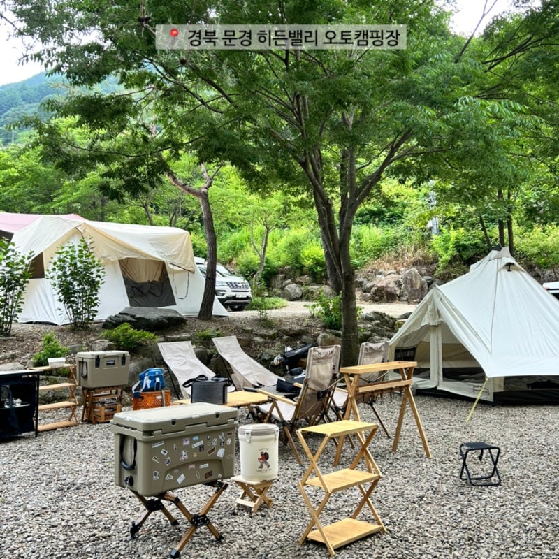 사진 3
