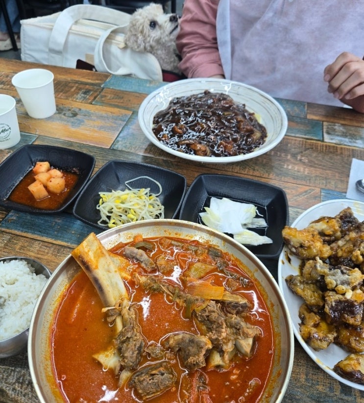  강화도 아침식사 애견동반 가능한 초지대교맛집 육짬 또먹고싶은 표고탕수
