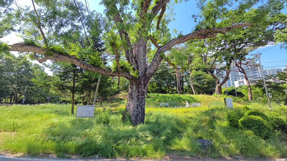 팥거리휴게실 사진 4
