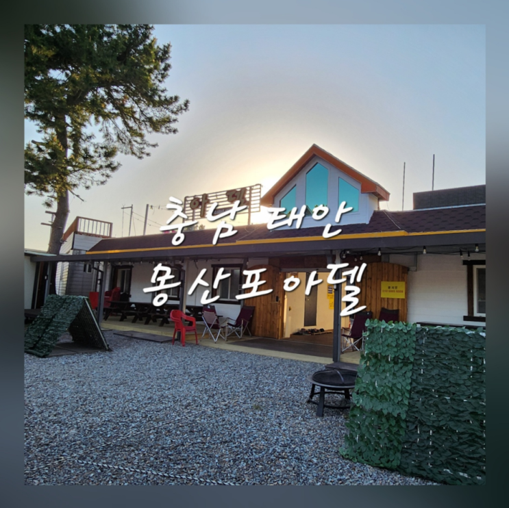  태안펜션 추천 애견동반 갯벌체험 숙소 몽산포아델