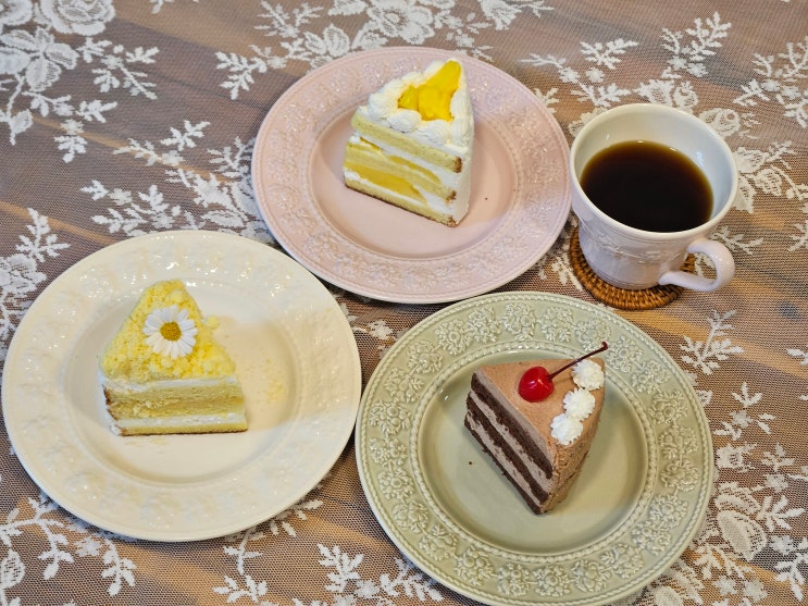  세종 케이크 맛집 헤일리케이크 고급스러운 세종시 디저트