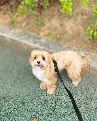 사진 4