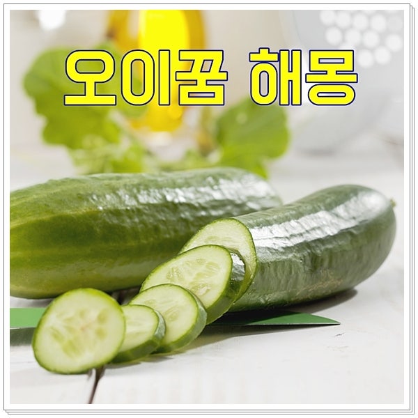 오이꿈 해몽 큰오이 잘익은오이꿈 다양한 풀이