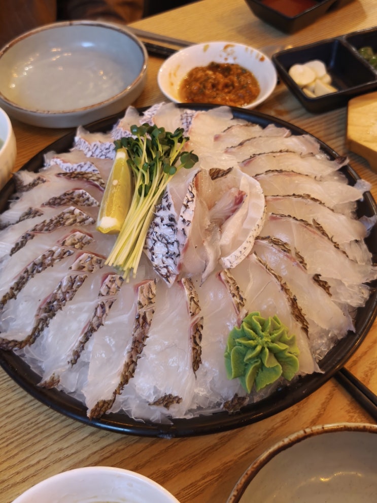  세텍 맛집 도미회 해산물청춘