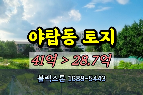  분당구 야탑동 토지 경매 1천평이하 농지 30억