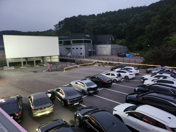  파주데이트코스 주말 자유로자동차극장 예매 매점 애견 가이드