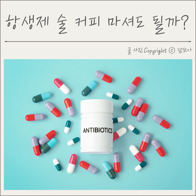  항생제 술 커피 마셔도 될까? 항생제 부작용