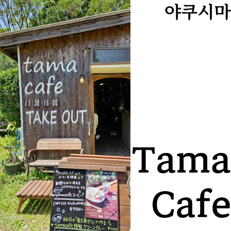  [야쿠시마여행]타마카페 Tama Cafe 영업시간 위치 추천메뉴 후기