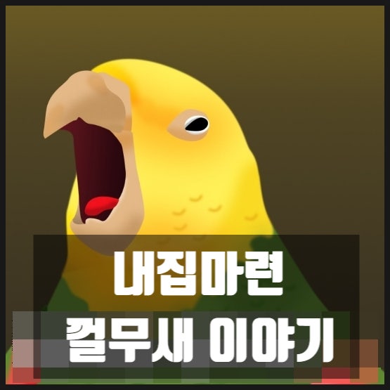 내집마련 껄무새 이야기 내집마련 껄무새 이야기