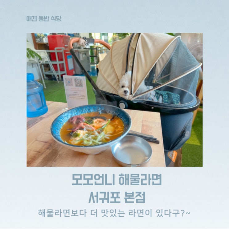  제주 서귀포 애견동반 식당 모모언니해물라면의 흑돈해장라면