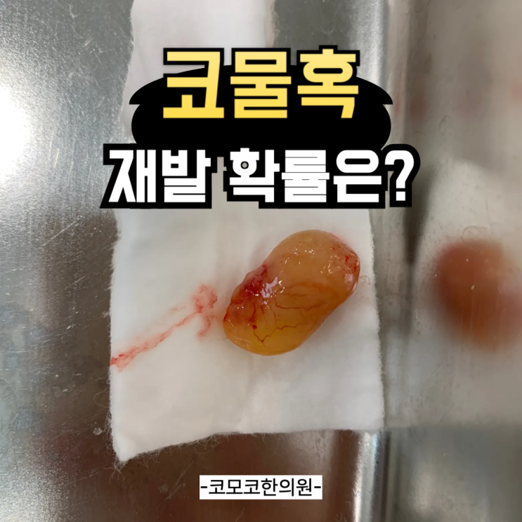  코물혹 수술 후 재발을 낮추는 방법은 feat. 코물혹 한의원