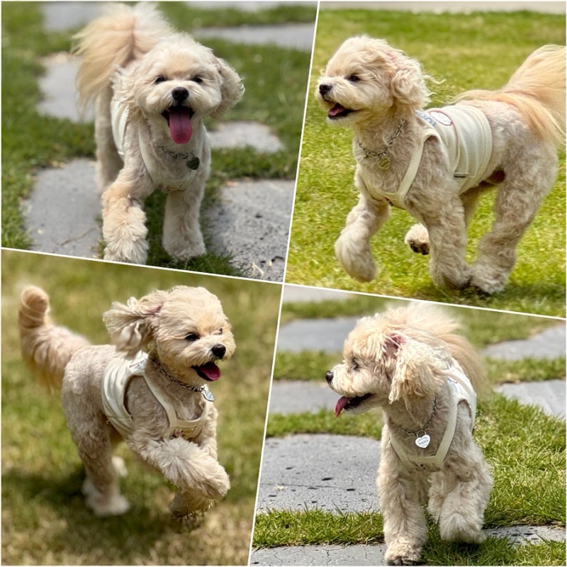 사진 5