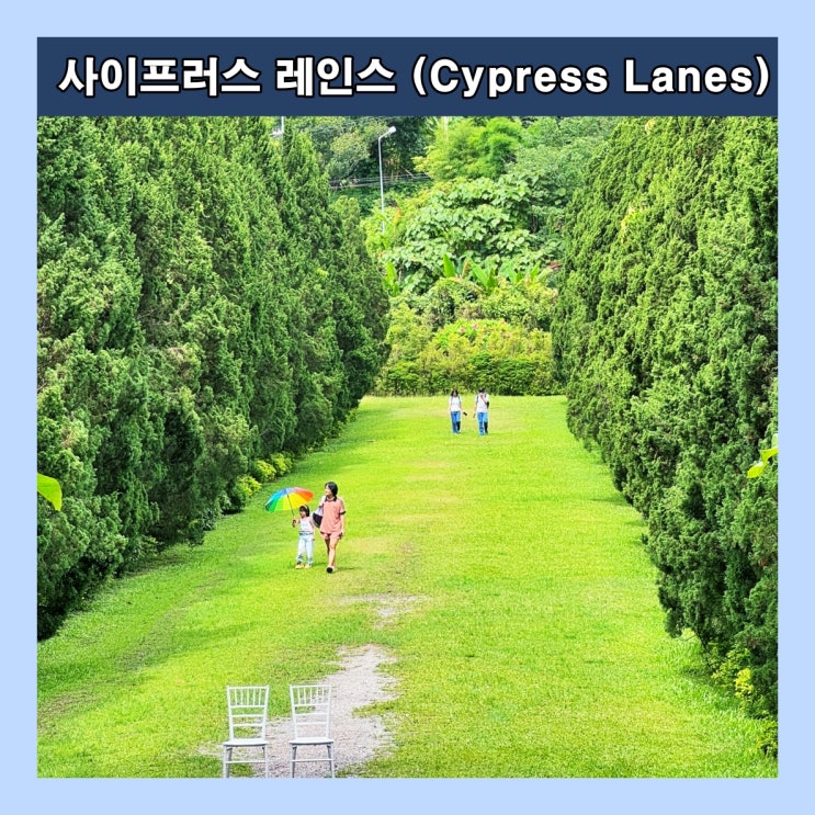  [치앙마이] 인스타 감성사진 찍기 좋은 포토존 '사이프러스 레인스 (Cypress Lanes)'