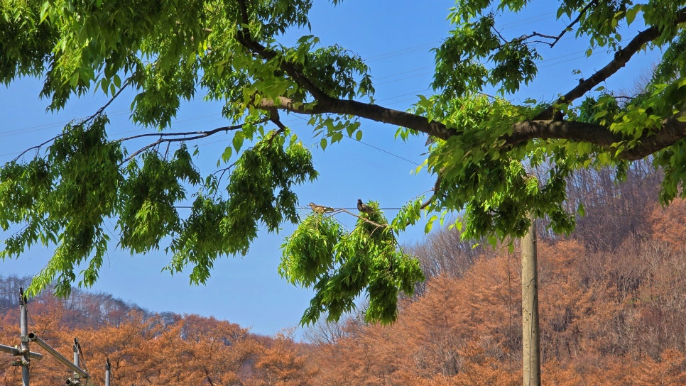 화매저수지 사진 6
