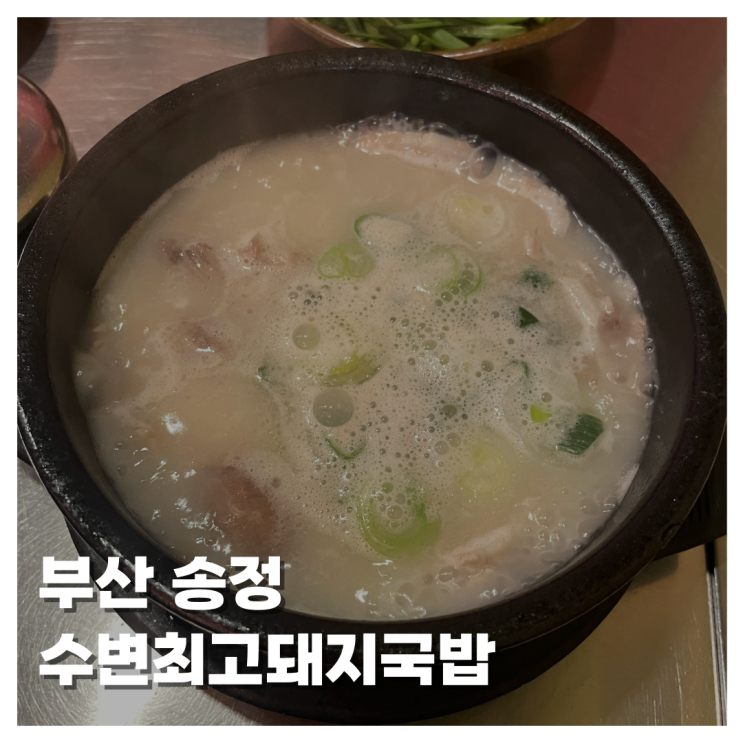  [FOOD]부산 송정 수변최고돼지국밥 국밥맛집 항정살국밥 항정국밥 진짜 현지인 맛집 인정! 국밥 덕후들 필수 방문지