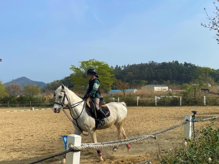  나주시, 학생승마체험 참여자 추가 모집! 말과교감하며 정서안정