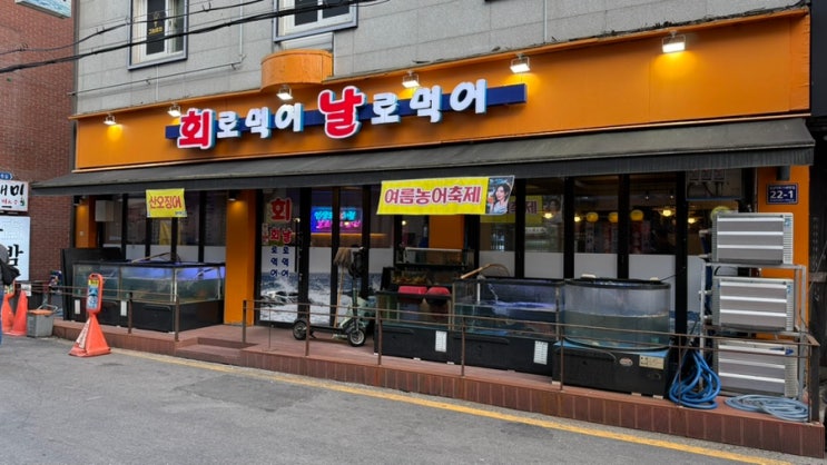  [성남] 가성비 활어회 맛집, 회로먹어 날로먹어 내돈내산 후기 (모란 횟집)