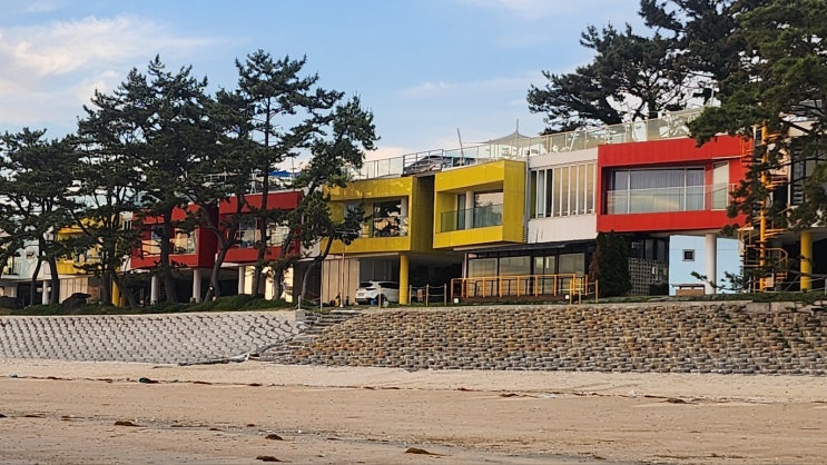  호강녀 오늘의 숙소#5 보령 독채 펜션 라바풀빌라