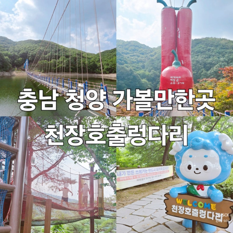 충남 청양 가볼만한곳 천장호출렁다리 초등아이와 방문후기