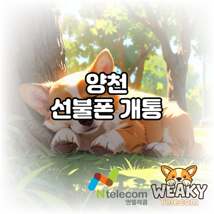  양천선불폰 개통 비대면으로 진행하는 방법 알아보기