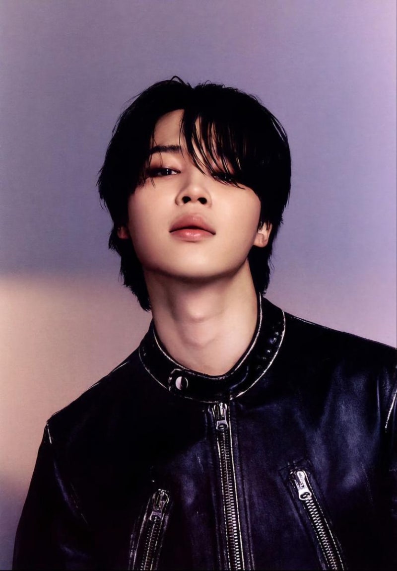 BTS Jimin Sweeps the Hall of Fame with Global Fandom, Dominating 193 Times at #1