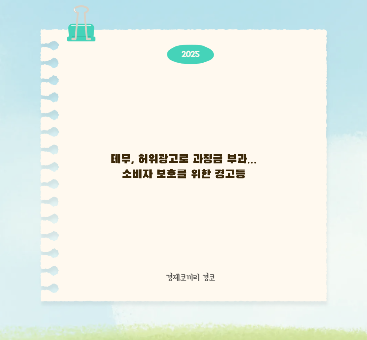 <b>테무</b>, 허위<b>광고</b>로 과징금 부과…소비자 보호를 위한 경고등