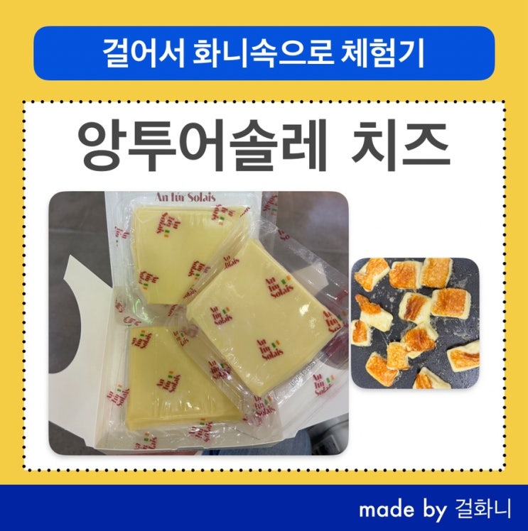  최화정 치즈 앙투어솔레 구워먹은 후기