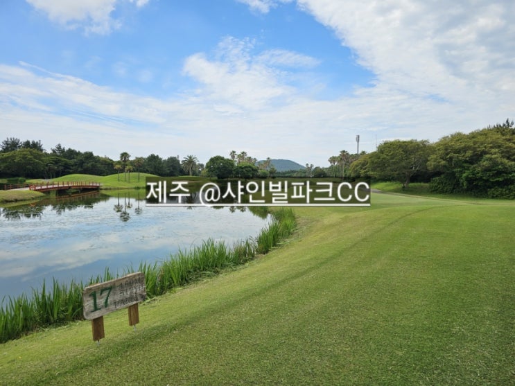  제주도 3인 골프 가능한 샤인빌파크cc 경치 , 코스 완벽한 곳 !