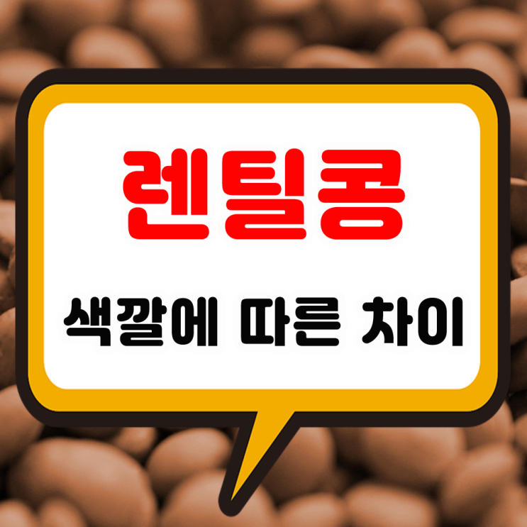 렌틸콩 색깔 효능과 삶기 영양성분 가득한 요리 먹는법 및 렌즈콩 섭취 주의할 점