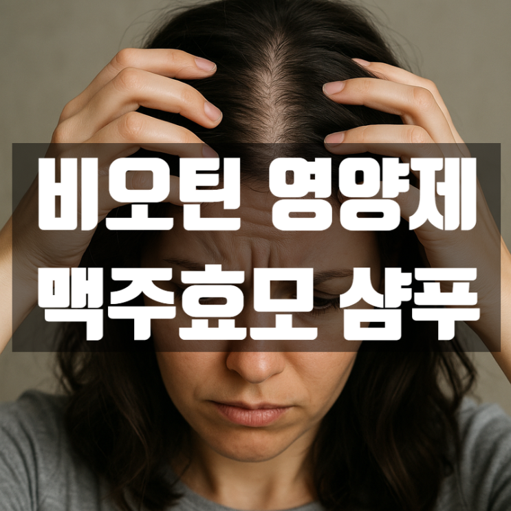  맥주효모 샴푸, 비오틴 영양제 – 진짜 탈모예방 효과 있을까?