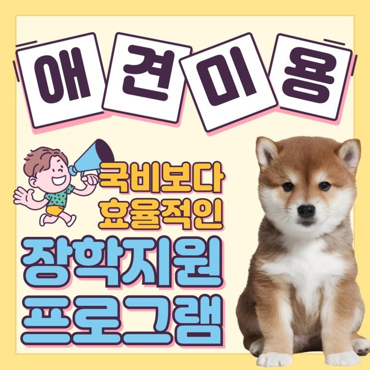  여수애견미용학원 꼭 알아야 할 핵심 정보 (자격증, 커리큘럼, 실습, 혜택 등..)