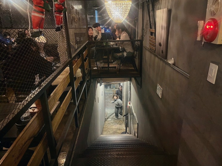  [동화 혜화점] 대학로 술집, 아늑한 분위기와 푸짐한 메뉴로 단체 회식 완벽