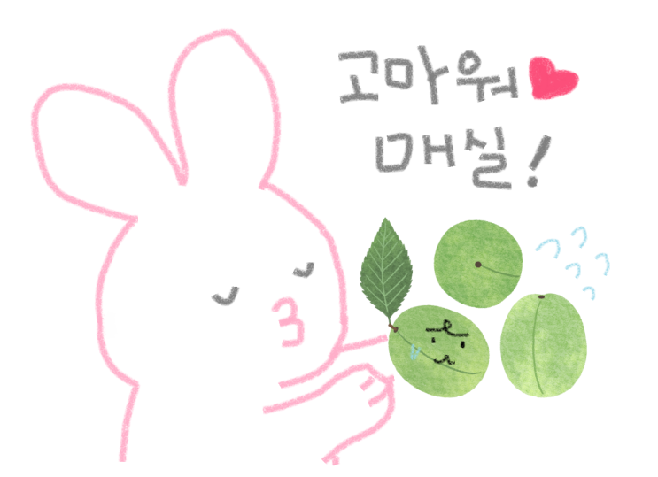  매실보관법 : 매실청 당뇨 gi지수 체크