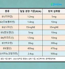 비타민의 종류와 효능 및 개요