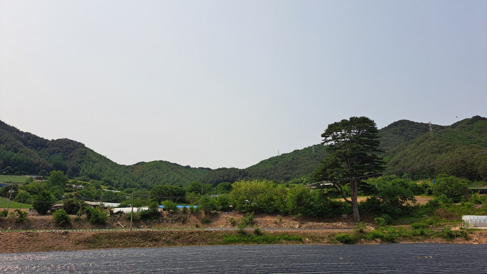 갈밭골 사진 5