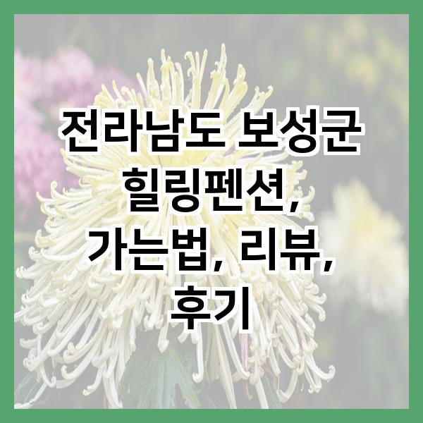힐링펜션 사진 1