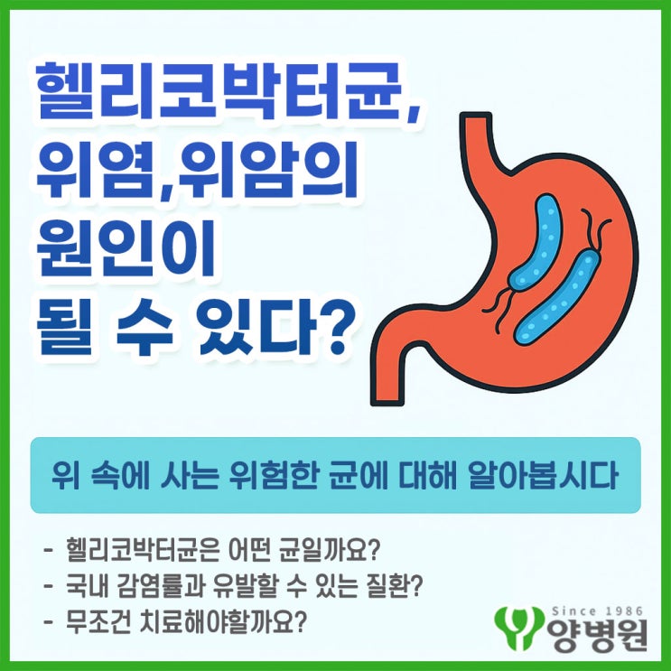  헬리코박터균, 위염·위암의 원인이 될 수 있다? – 위 속에 사는 위험한 균에 대해 알아봅니다