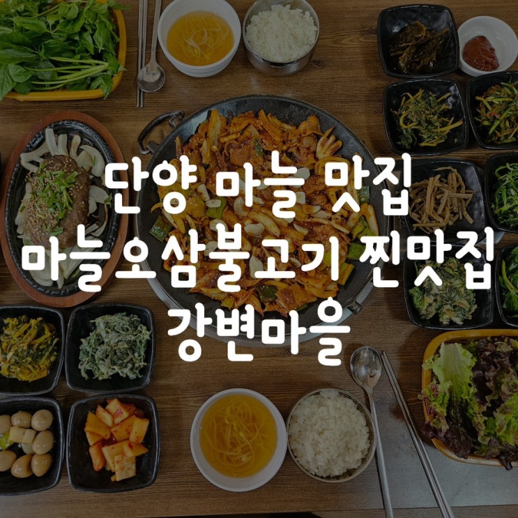 단양 마늘 맛집 마늘오삼불고기 찐맛집 강변마을