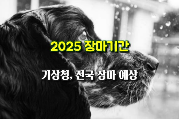 2025년 한국에서 장마는 언제부터 시작되나요? 장마시작과 장마기간