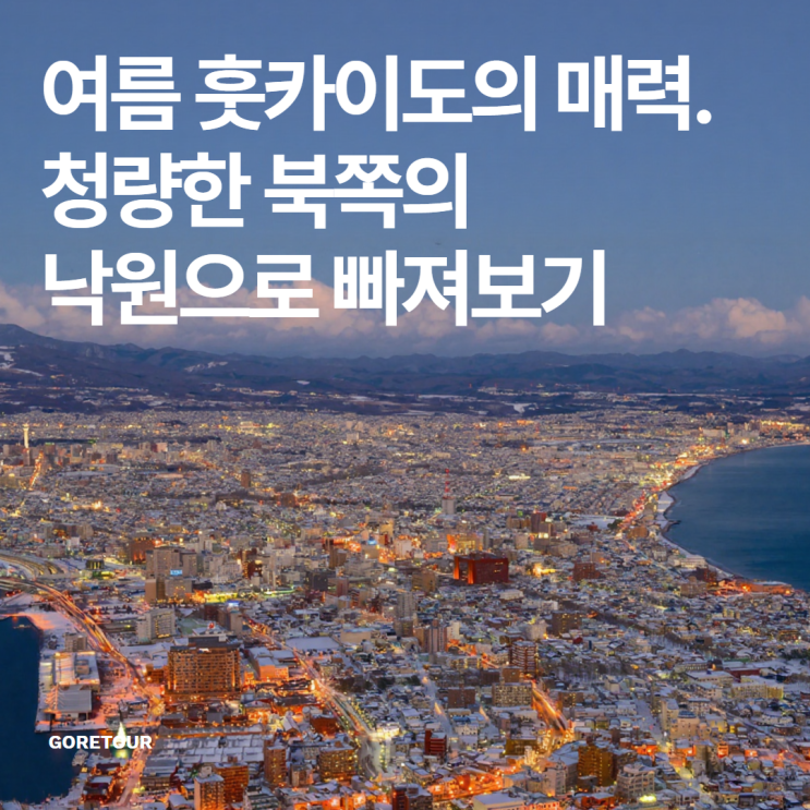   여름 훗카이도의 매력 – 청량한 북쪽의 낙원으로 빠져보기