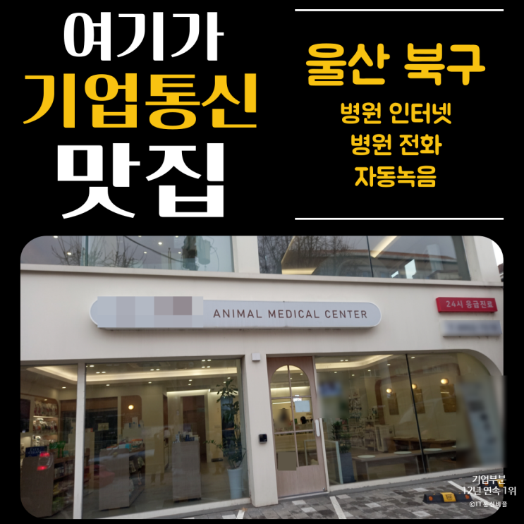 24시 동물병원, 고객 응대/관리를 위한 자동 녹음 레코드온 설치!