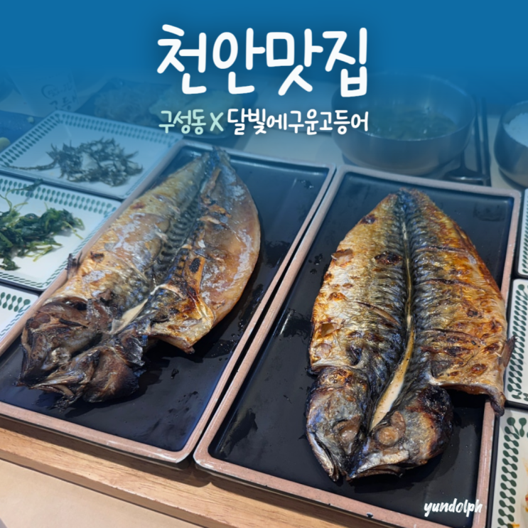  [천안맛집] 구성동 화덕 생선구이 맛집 ‘달빛에구운고등어’